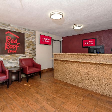 Red Roof Inn Jacksonville - Cruise Port Kültér fotó
